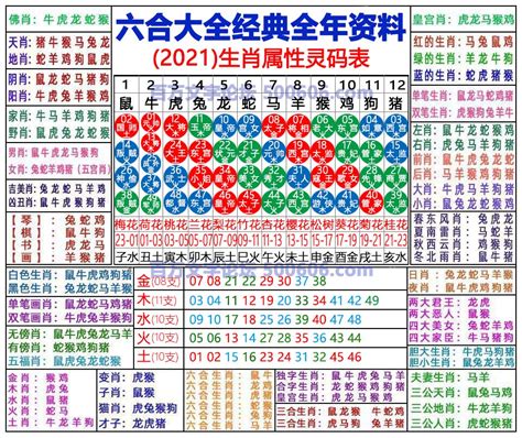 明年生肖2024|2024年生肖表 2024年生肖表图